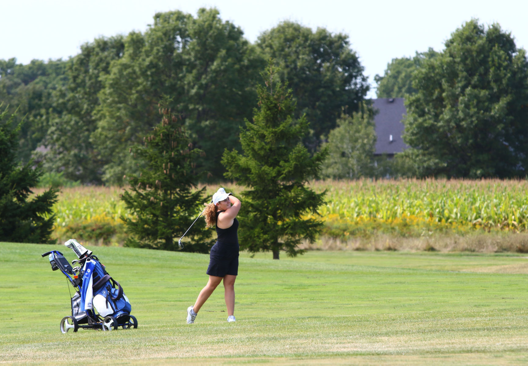 Gallery: Girls Golf Duneland Athletic Conference Tournament